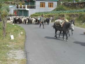 3 Tag Manali - Leh, Himachal Highway