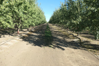 Agrikulturland Kalifornien